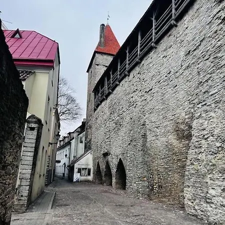 Exclusive House In Old